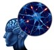 Препараты для улучшения памяти и работы мозга