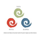 Базовые понятия Аюрведы: 5 основных элементов и 3 доши