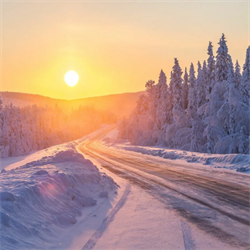 Вебинар «Здоровая зима с Аюрведой» - фото 11677
