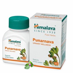 Punarnava (Пунарнава) - омолаживает весь организм, эффективно поддержит функцию почек - фото 11734