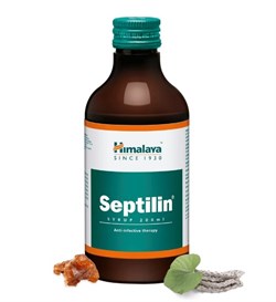 Septilin Syrop (Септилин Сироп) - антиинфекционное фитосредство - фото 11790
