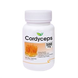 Cordyceps (Кордицепс китайский) Biotrex - повышает энергию и тонизирует, 60 кап. - фото 12608