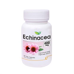 Echinacea (Эхинацея) Biotrex, 60 кап. - фото 12610