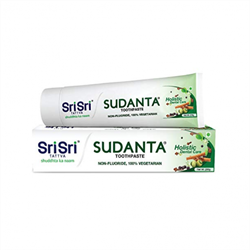 Индийская зубная паста Sudanta, 100гр. - фото 12746