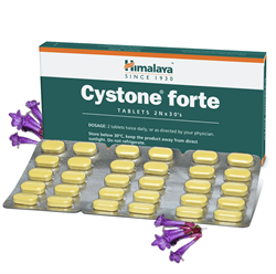 Cystone Forte (Цистон Форте) - надёжное средство для поддержания здоровья почек 10398 - фото 14510