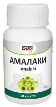 Амалаки - самый знаменитый фрукт в Индии, мощный растительный антиоксидант, иммуномодулятор - фото 6958