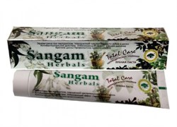 Аюрведическая травяная зубная паста Sangam Herbals - фото 7078