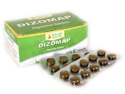 Dizomap (Дизомап) для пищеварения - фото 7111