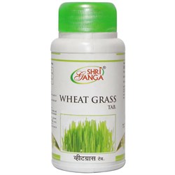 Wheat grass (ростки пшеницы в таблетках) - для повышения и укрепления иммунитета - фото 8717