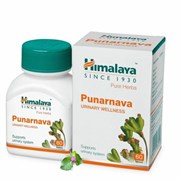 Punarnava (Пунарнава) - омолаживает весь организм, эффективно поддержит функцию почек