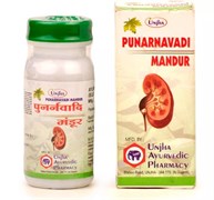 Punarnavadi Mandur (Пунарнавади Мандур) - идеальное сочетание трав для здоровья почек, 40 таб.
