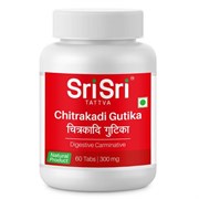 Chitrakadi Gutika (Читракади Гутика) -  устраняет нарушения пищеварения, 60 таб.