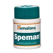 Жалаңаш өнер порносы