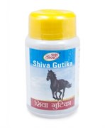 Siva Gutika (Шива Гутика)  - омоложение и очищение организма